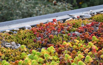 the cost of Shopnoller green roof installation